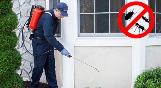 Kınık Fare İlaçlama böcek ilaçlama ve haşere kontrolü — ilaclama-tr.com